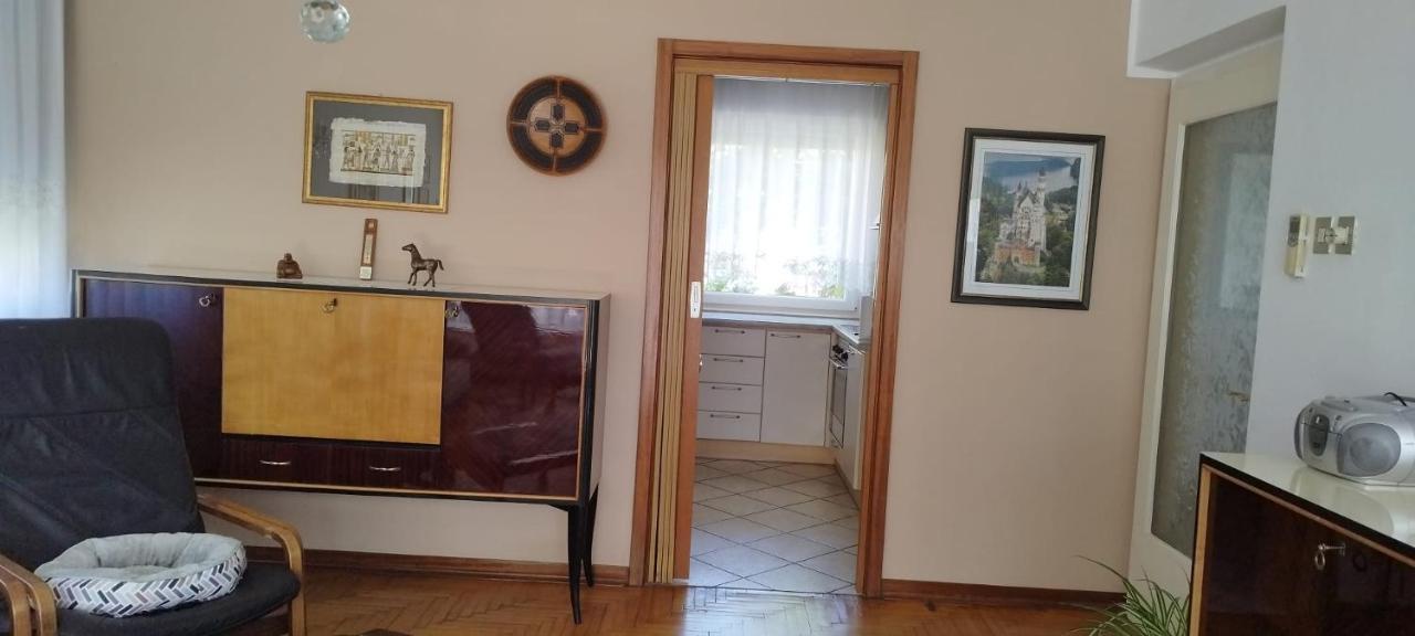 7 Flower Street Apartment Sempeter pri Gorici Zewnętrze zdjęcie
