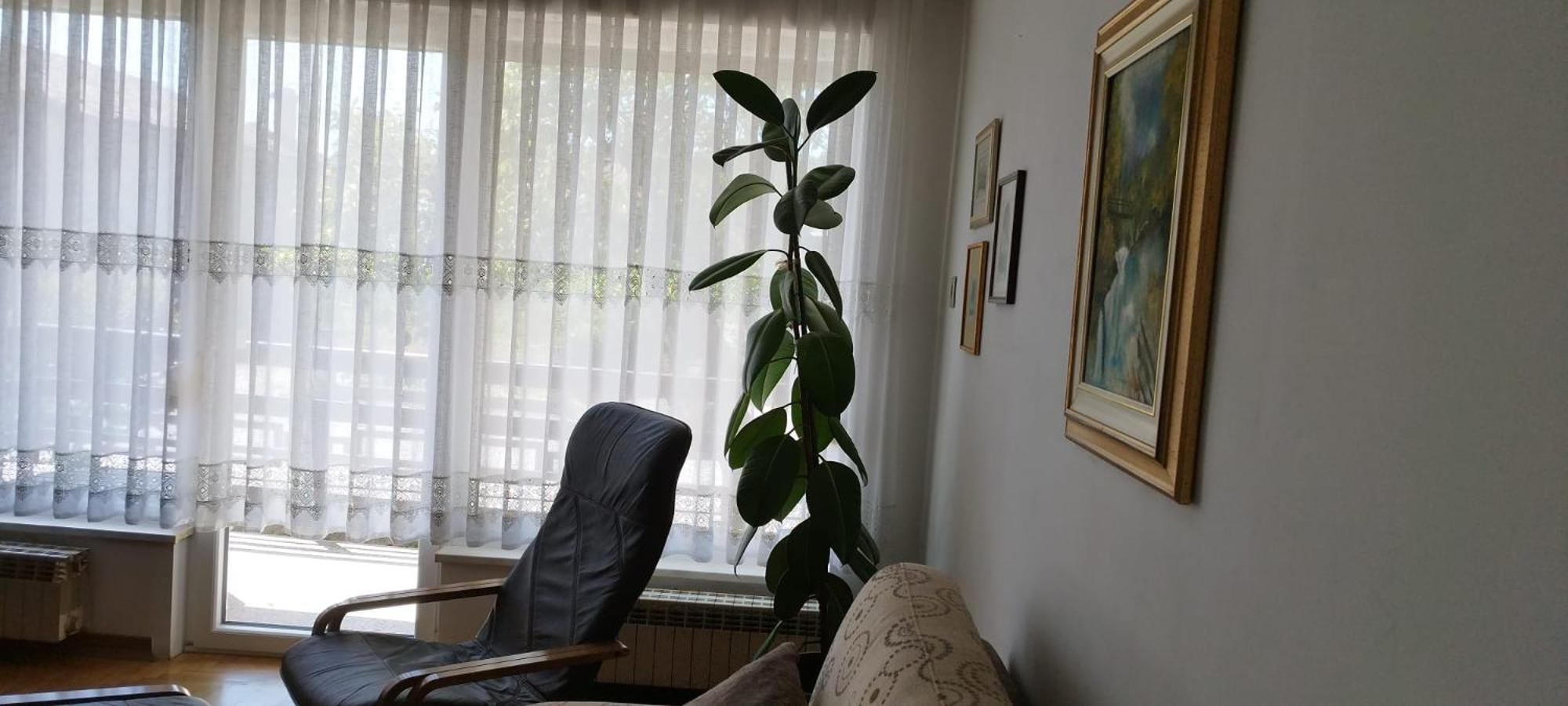 7 Flower Street Apartment Sempeter pri Gorici Zewnętrze zdjęcie