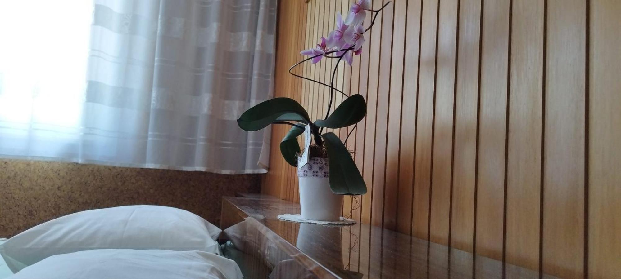 7 Flower Street Apartment Sempeter pri Gorici Zewnętrze zdjęcie
